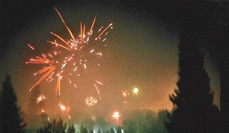 banner-image