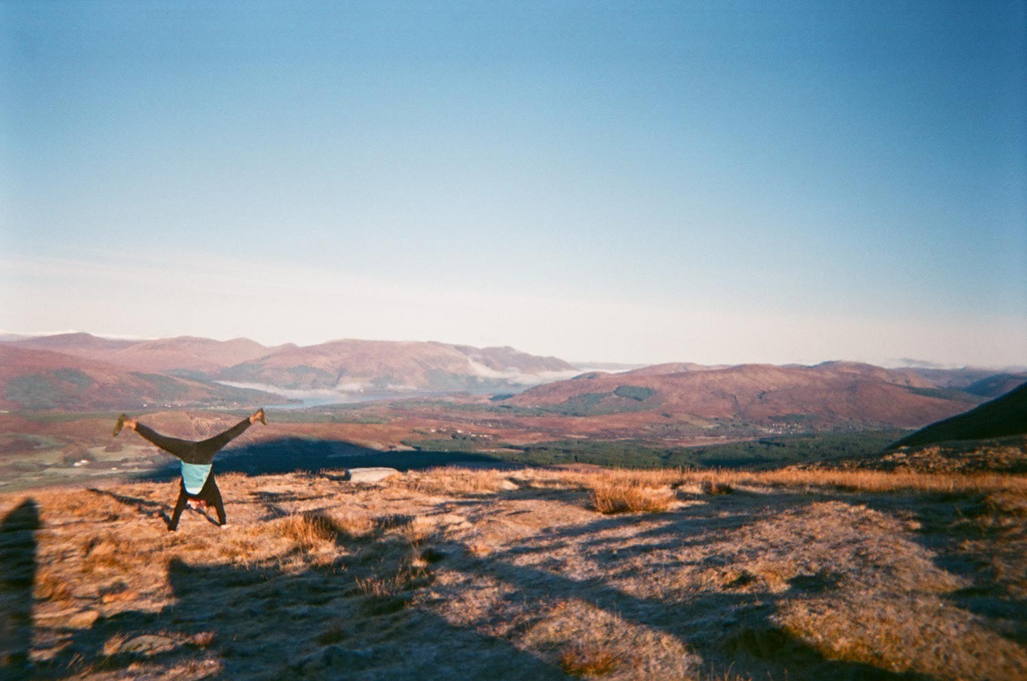banner-image