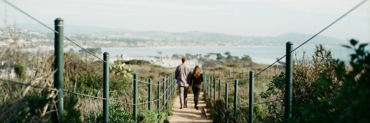 banner-image