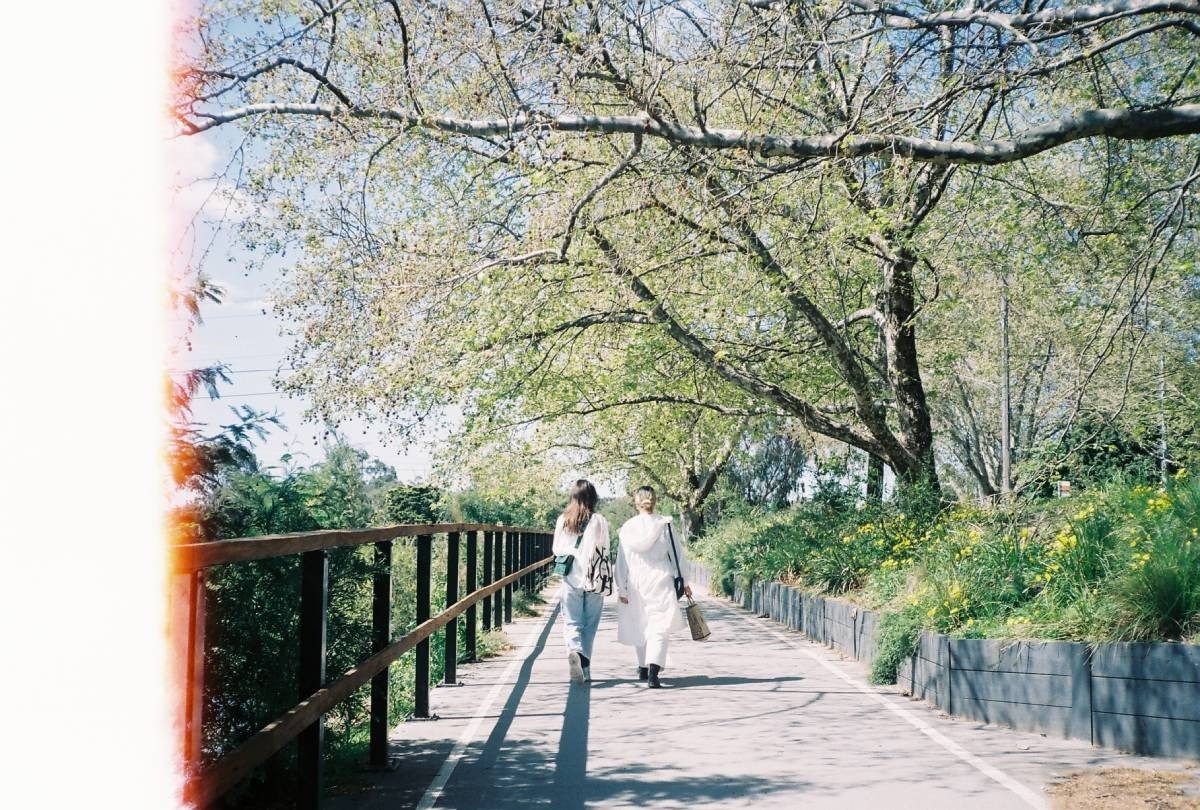 banner-image
