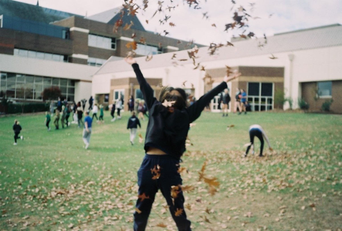 banner-image