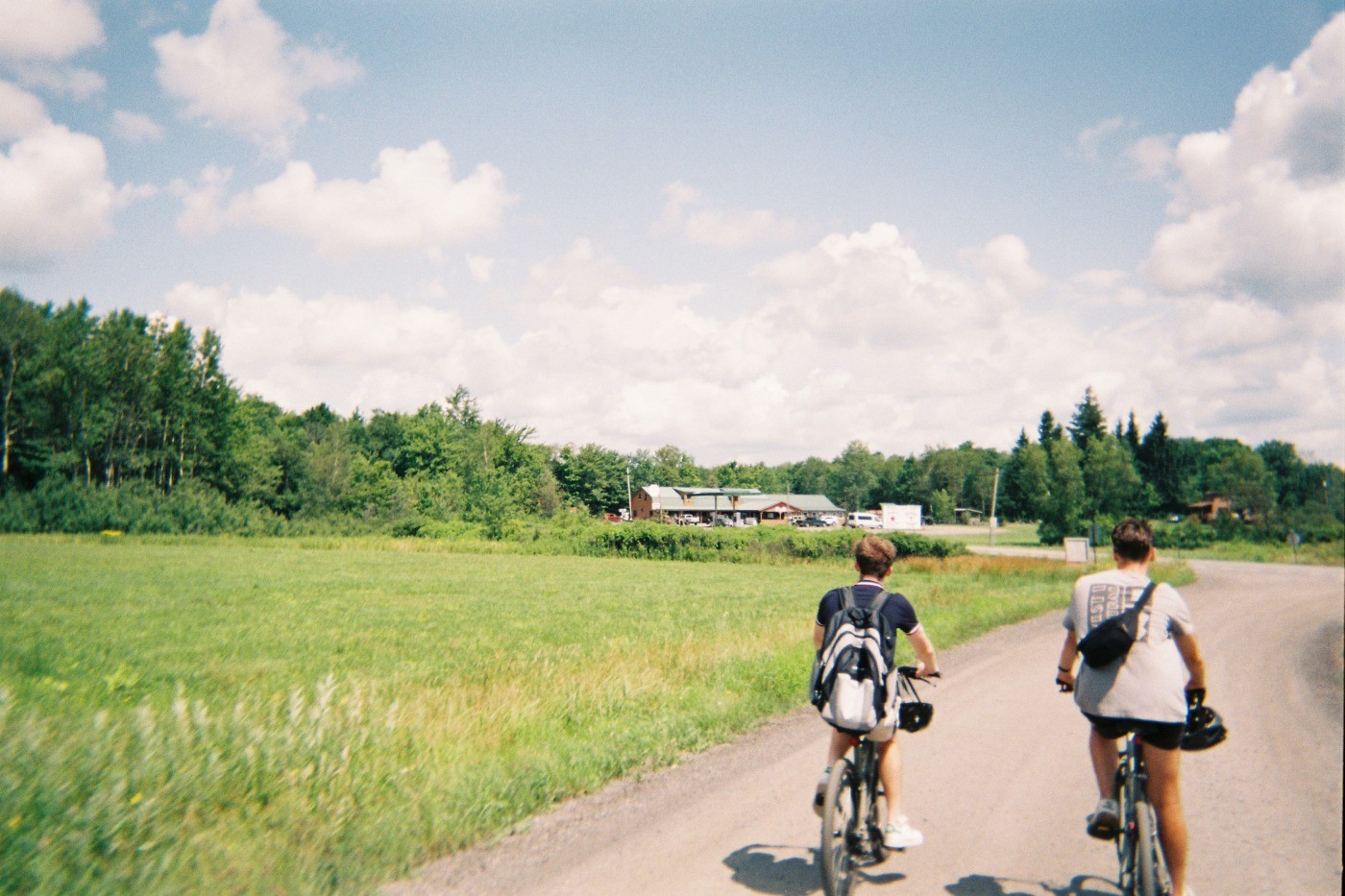 banner-image