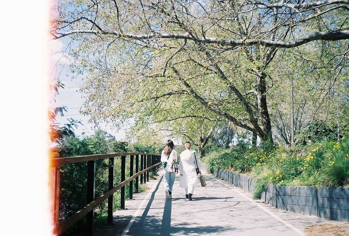 banner-image