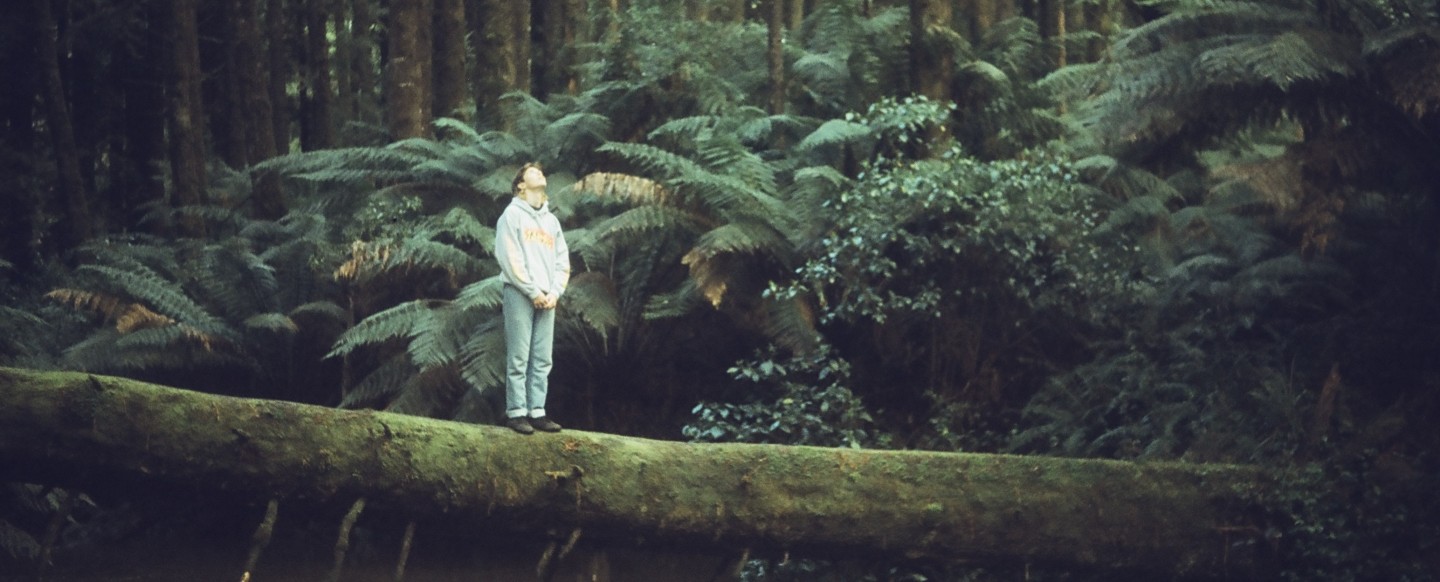banner-image