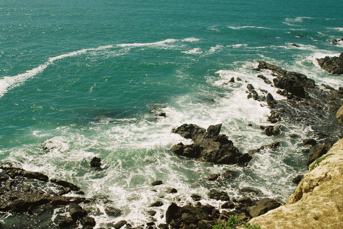 banner-image