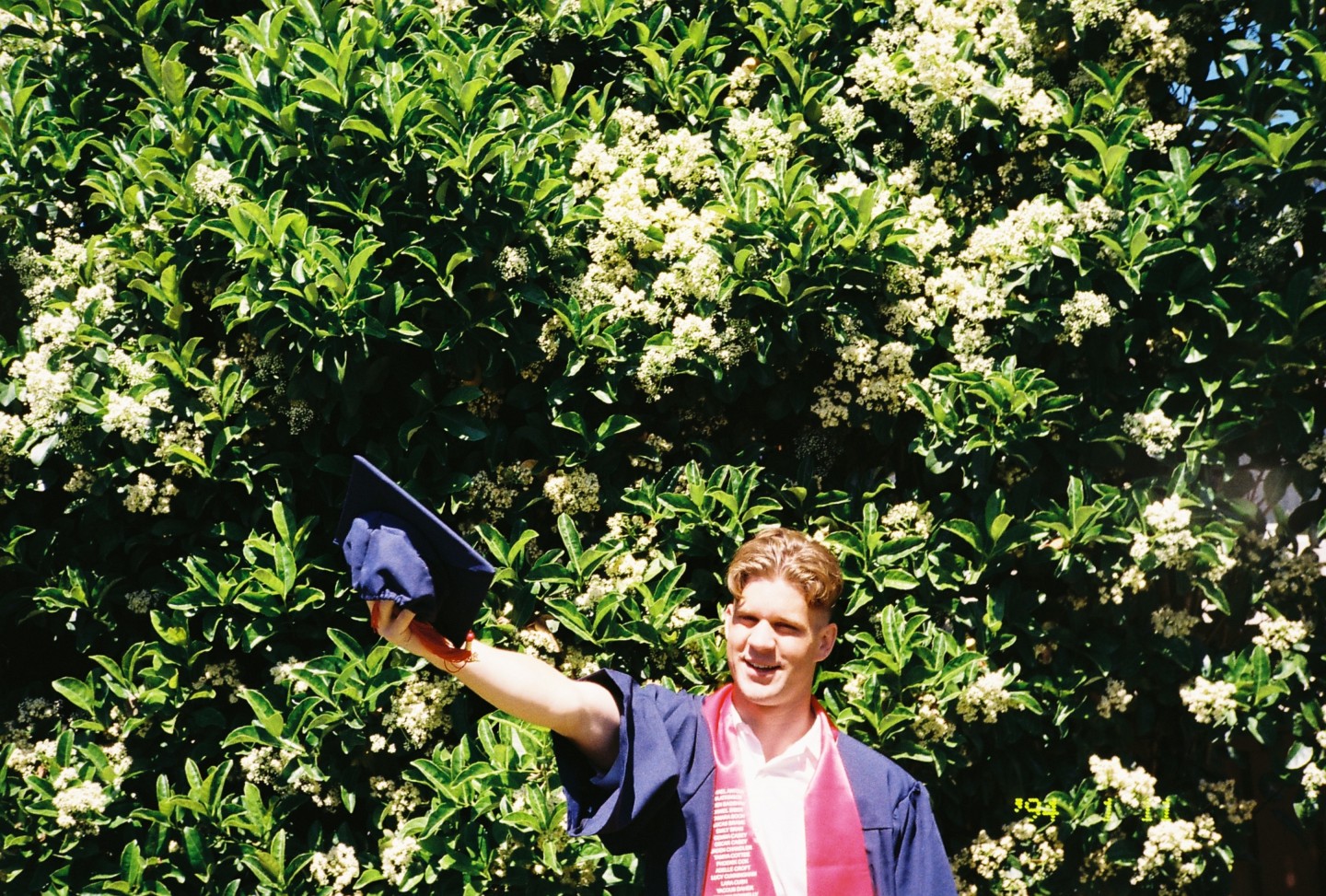 banner-image