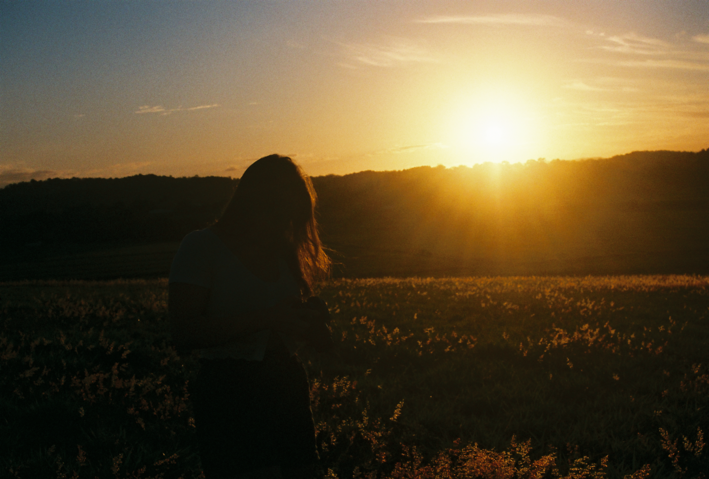 banner-image