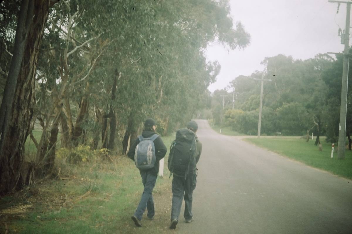 banner-image