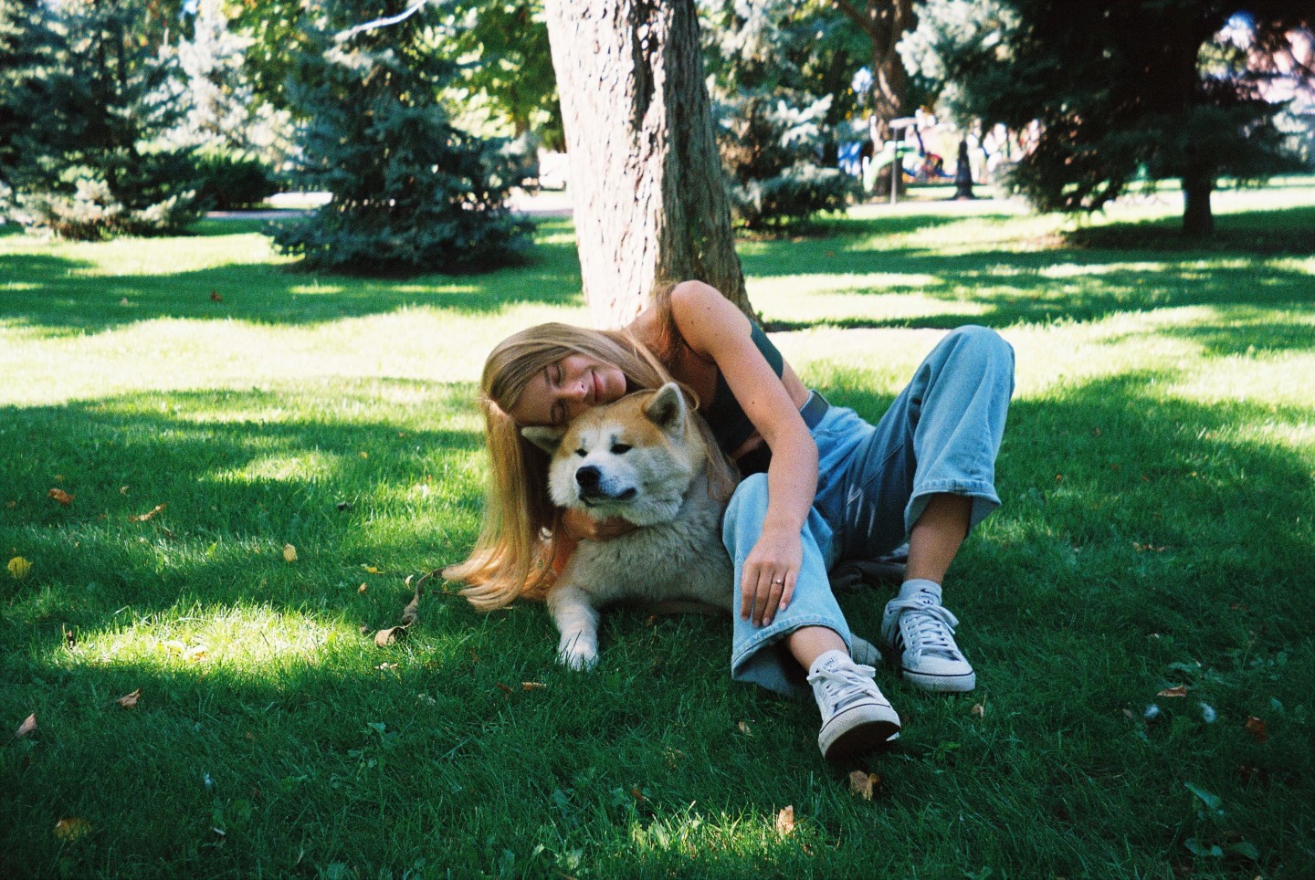 banner-image