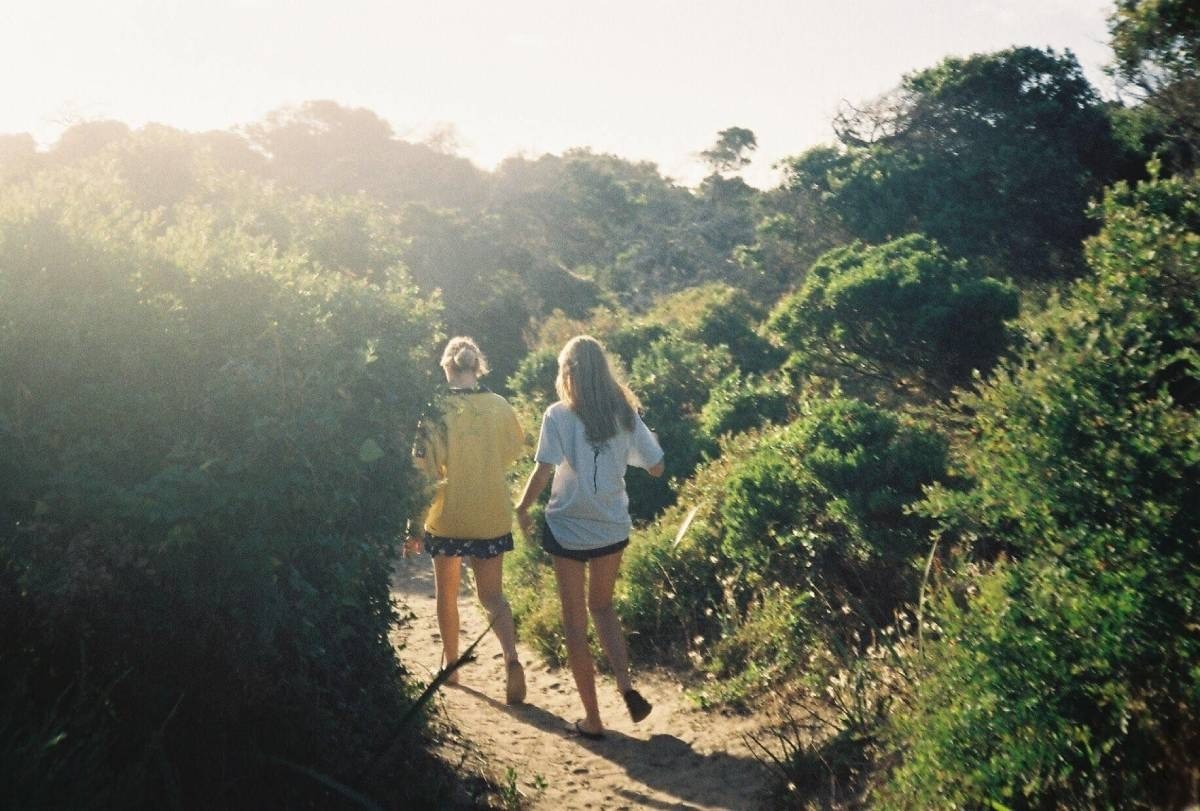 banner-image