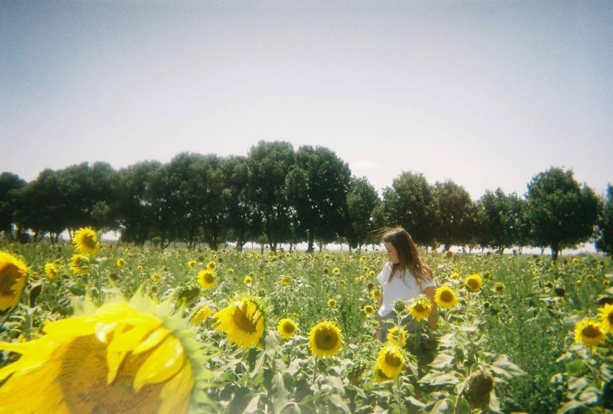 banner-image
