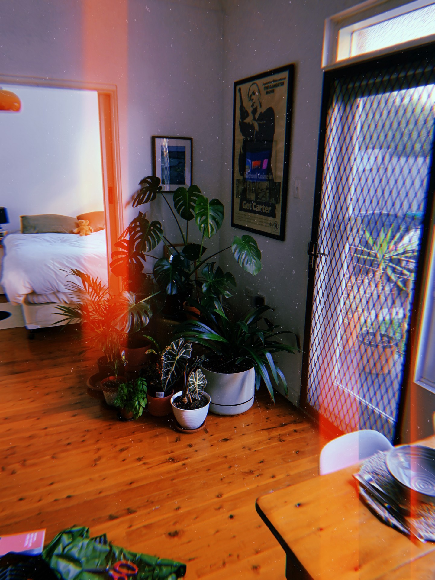 banner-image