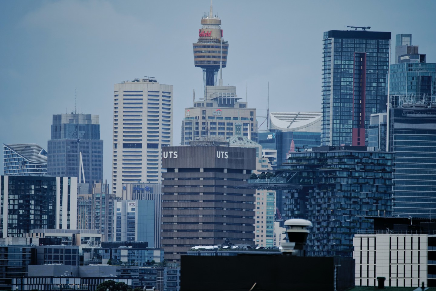 banner-image