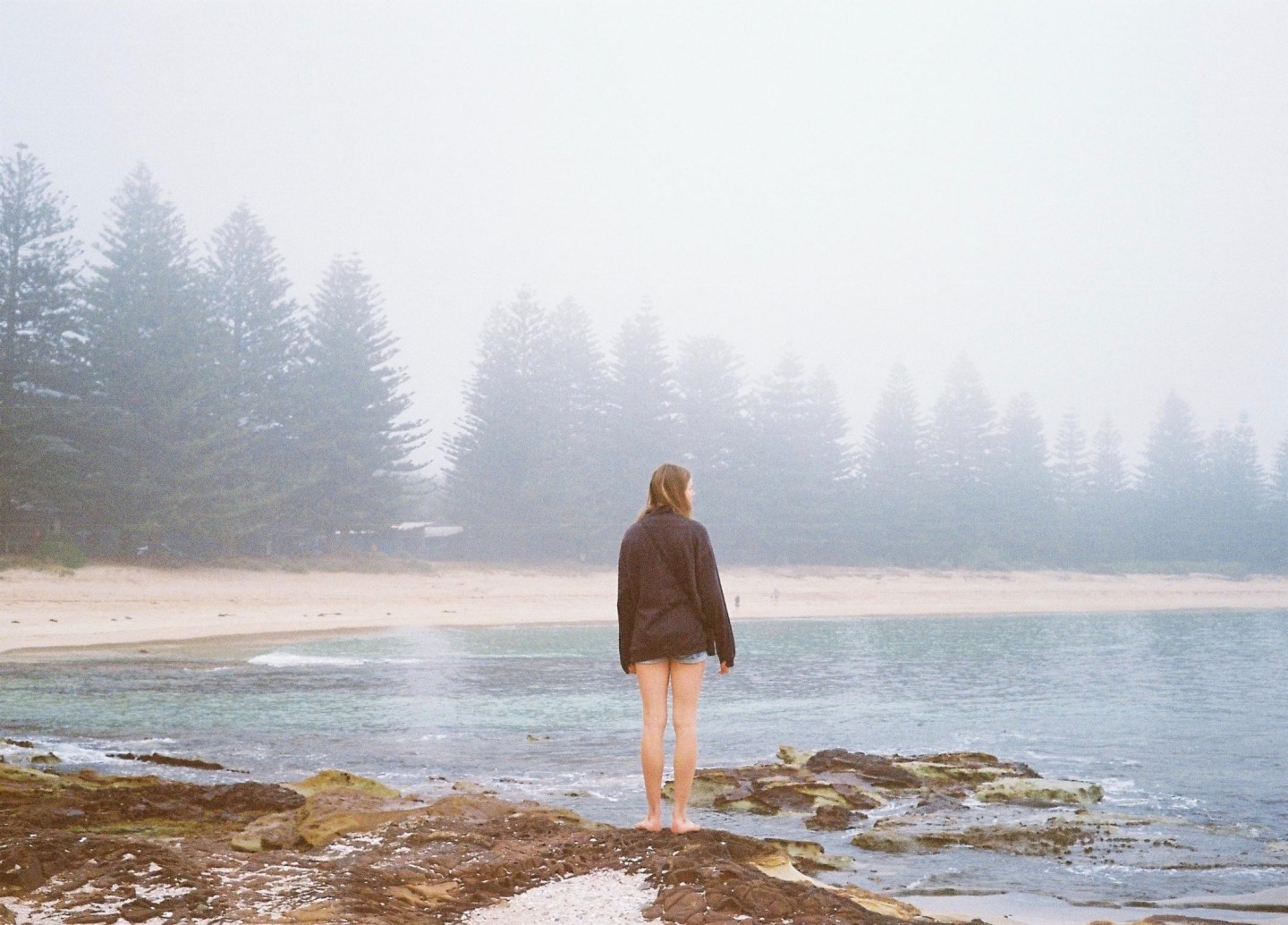 banner-image