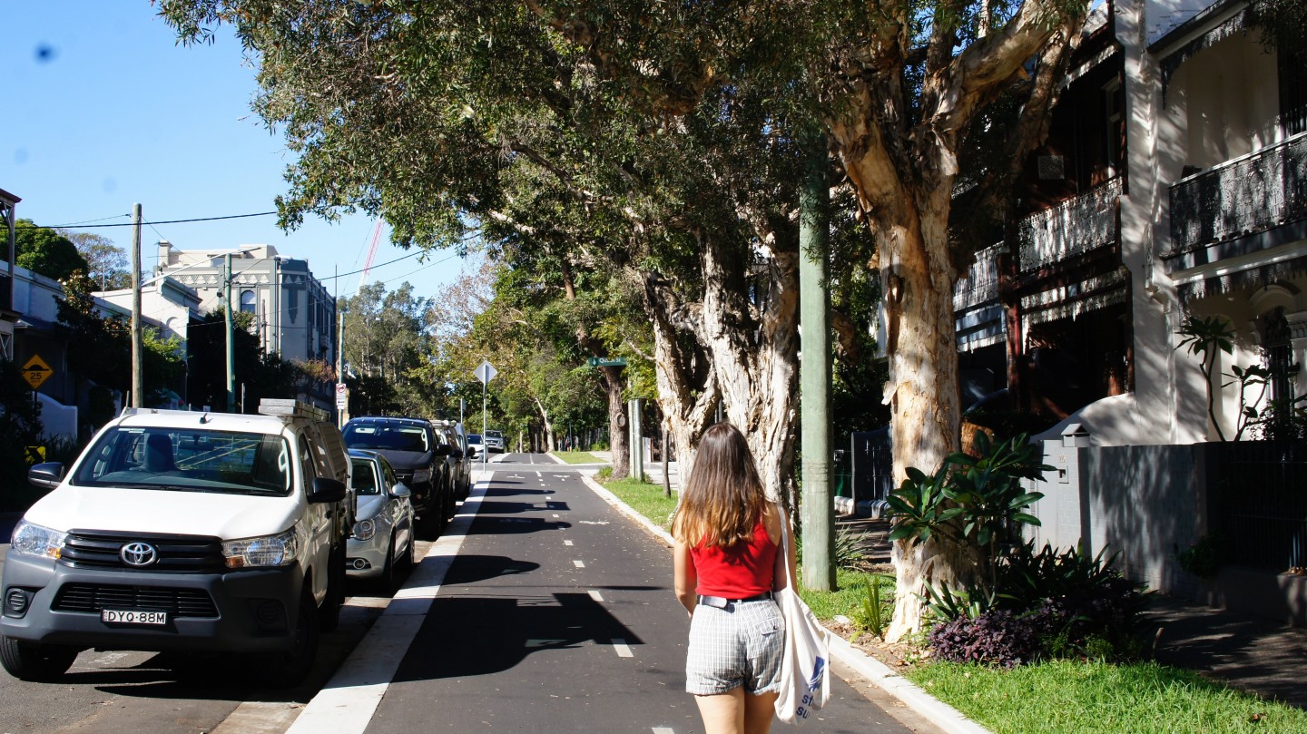 banner-image