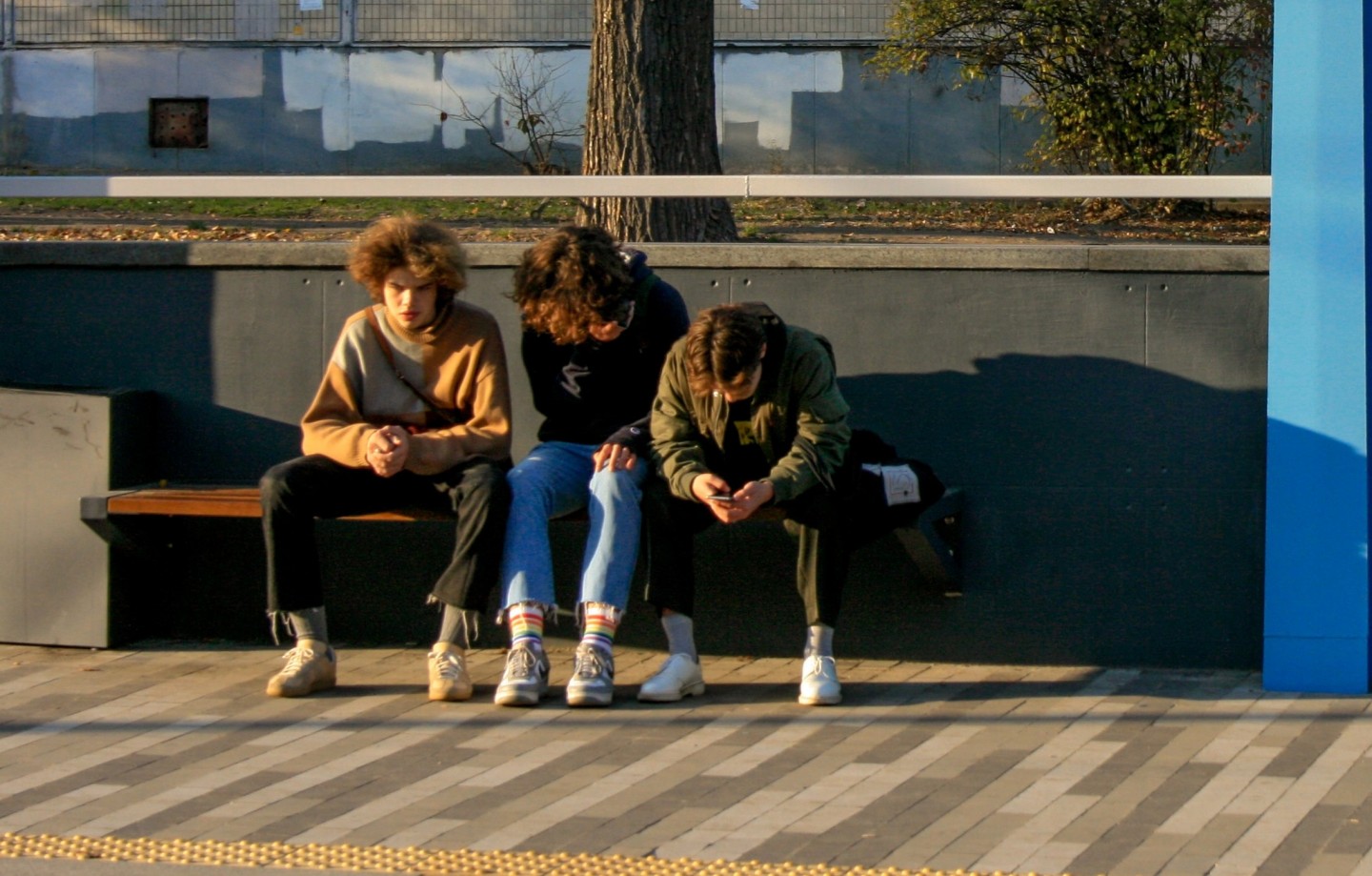 banner-image