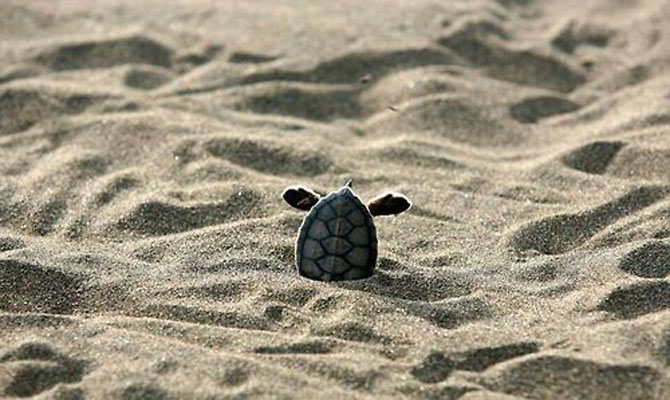 banner-image