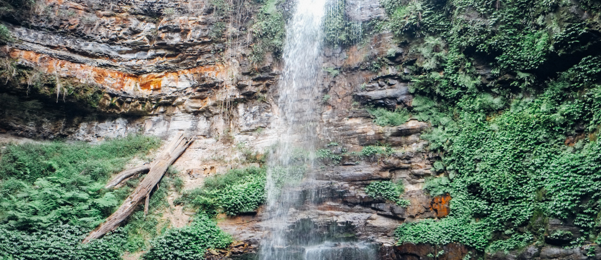 banner-image