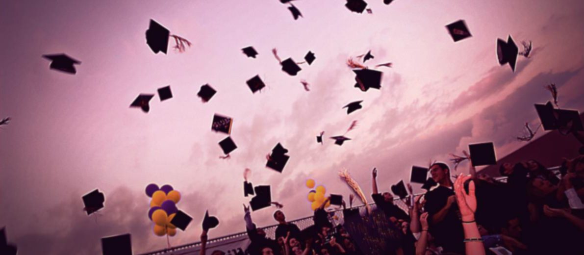 banner-image