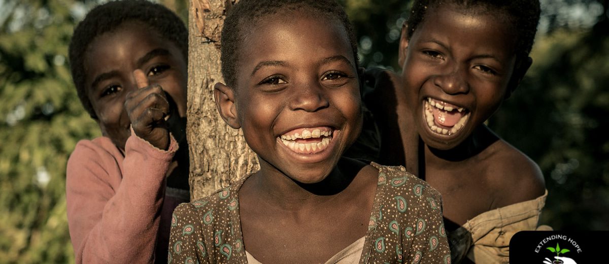 banner-image