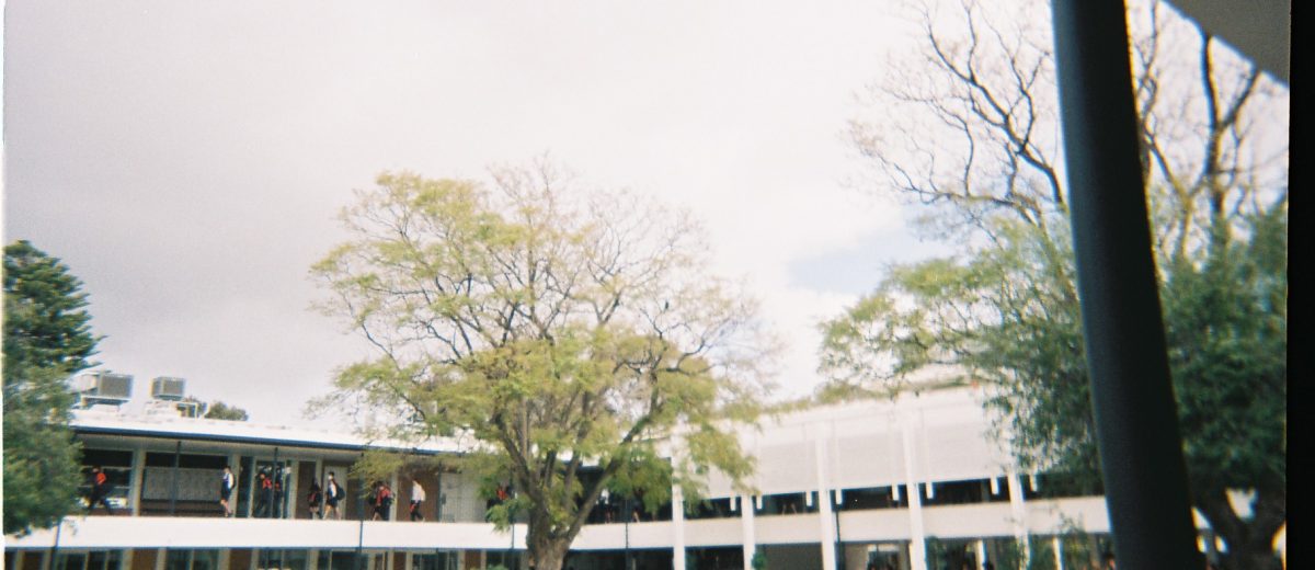 banner-image